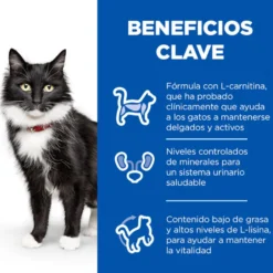 Hill's Science Plan Sterilised Mature Frango saqueta de molho para gatos