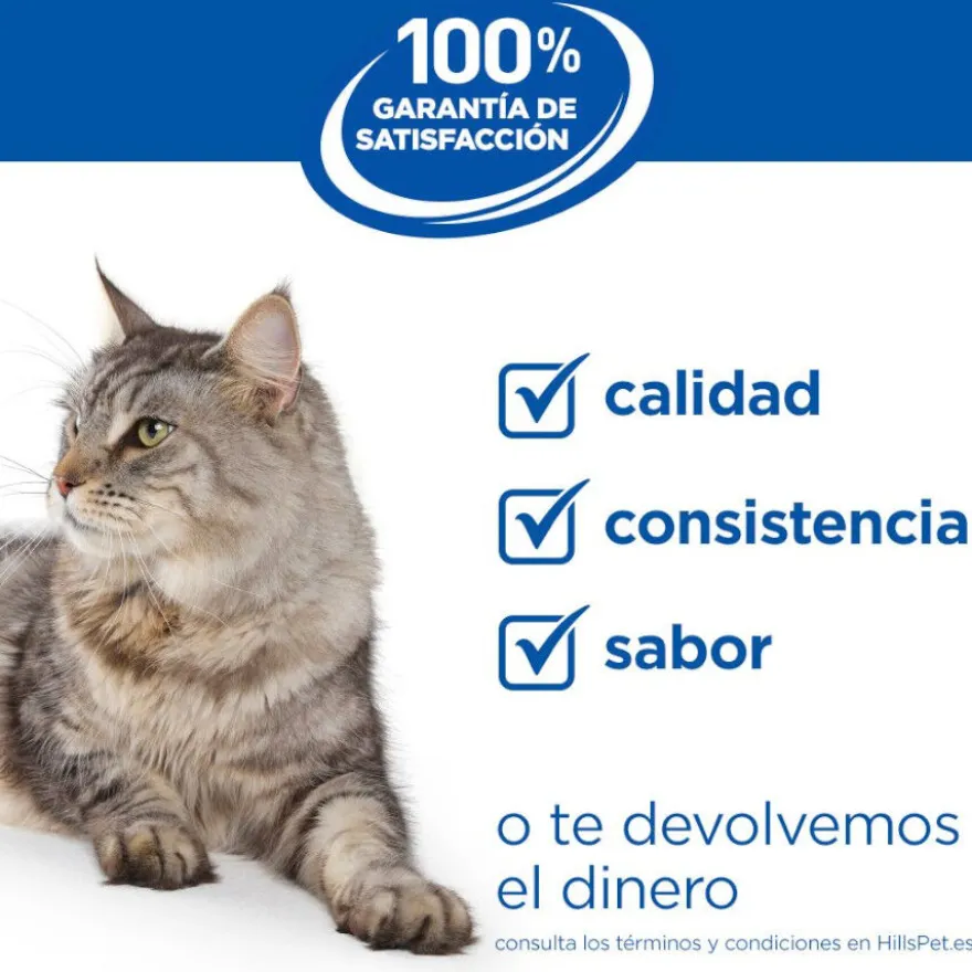 Hill's Science Plan Sterilised Ração de salmão para gatos
