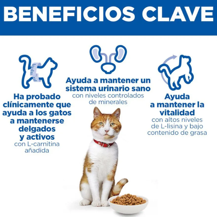 Hill's Science Plan Sterilised Ração de salmão para gatos