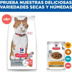 Hill's Science Plan Sterilised Ração de salmão para gatos