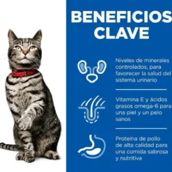 Hill's Urinary Frango ração para gatos