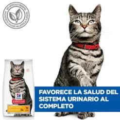 Hill's Urinary Frango ração para gatos