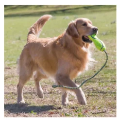 Kong Air Dog Squeaker Stick brinquedo para cães