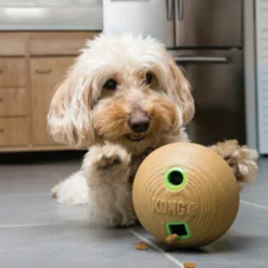 Kong Bamboo Bola Porta-Snacks para cães