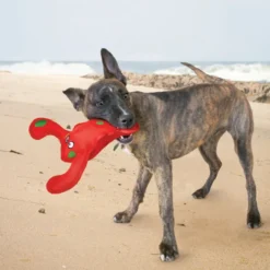 Kong Belly Flops Brinquedo Lagosta para cães