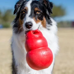 Kong Bounzer Brinquedo vermelho para cães
