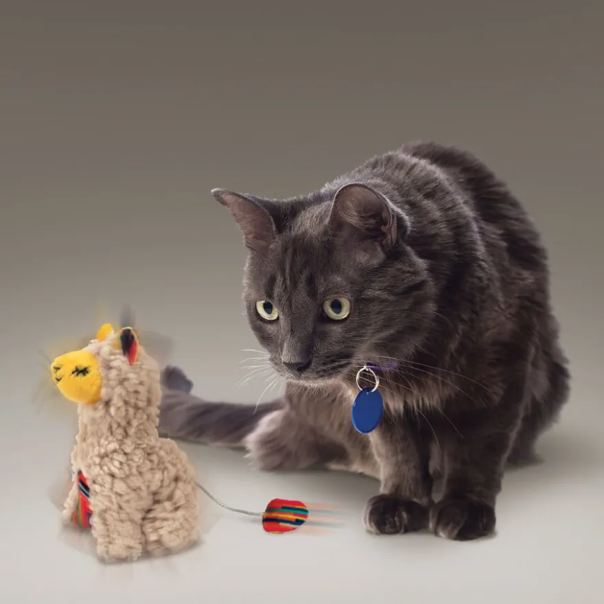 Kong Softies Buzzy Lhama peluche para gatos