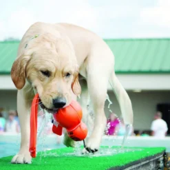 Kong Wubba Brinquedo Aquático para cães