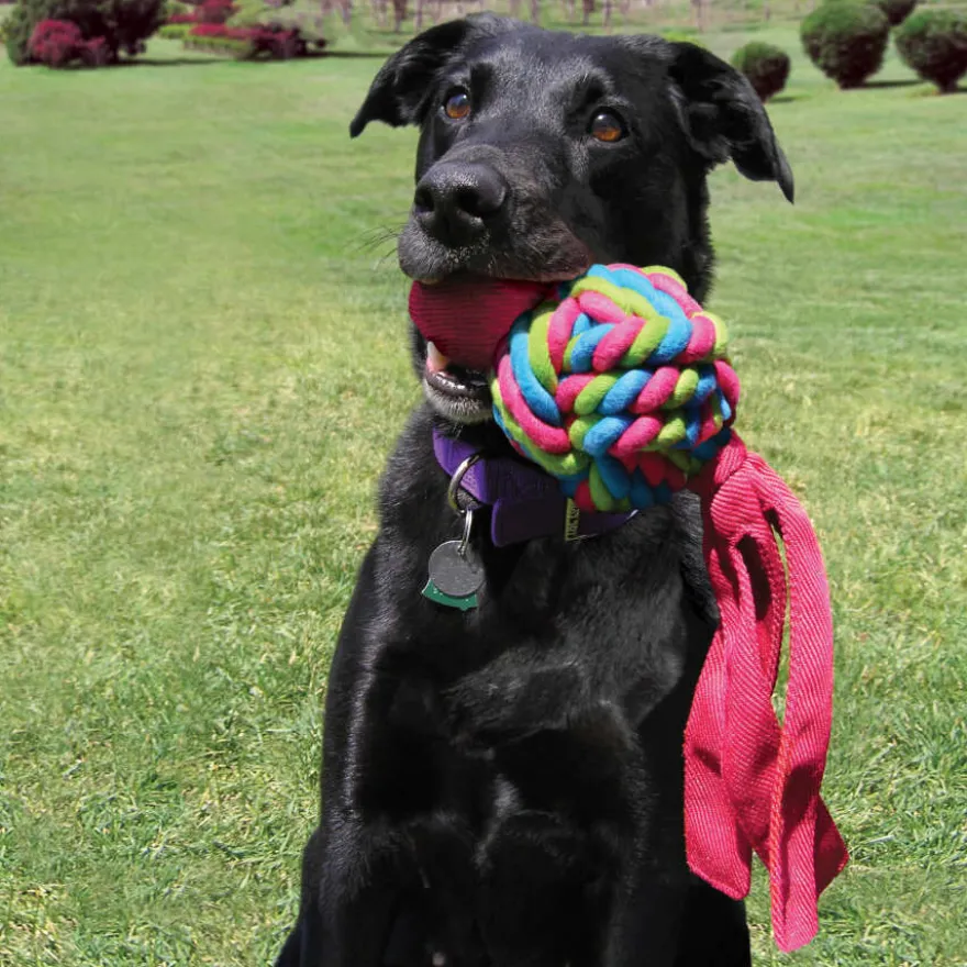 Kong Wubba Waves mastigador para cães