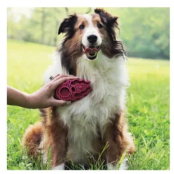 Kong Zoom Groom Escova de goma para cães