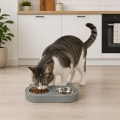 Leeby Comedouro Duplo em Aço Inoxidável Verde para gatos