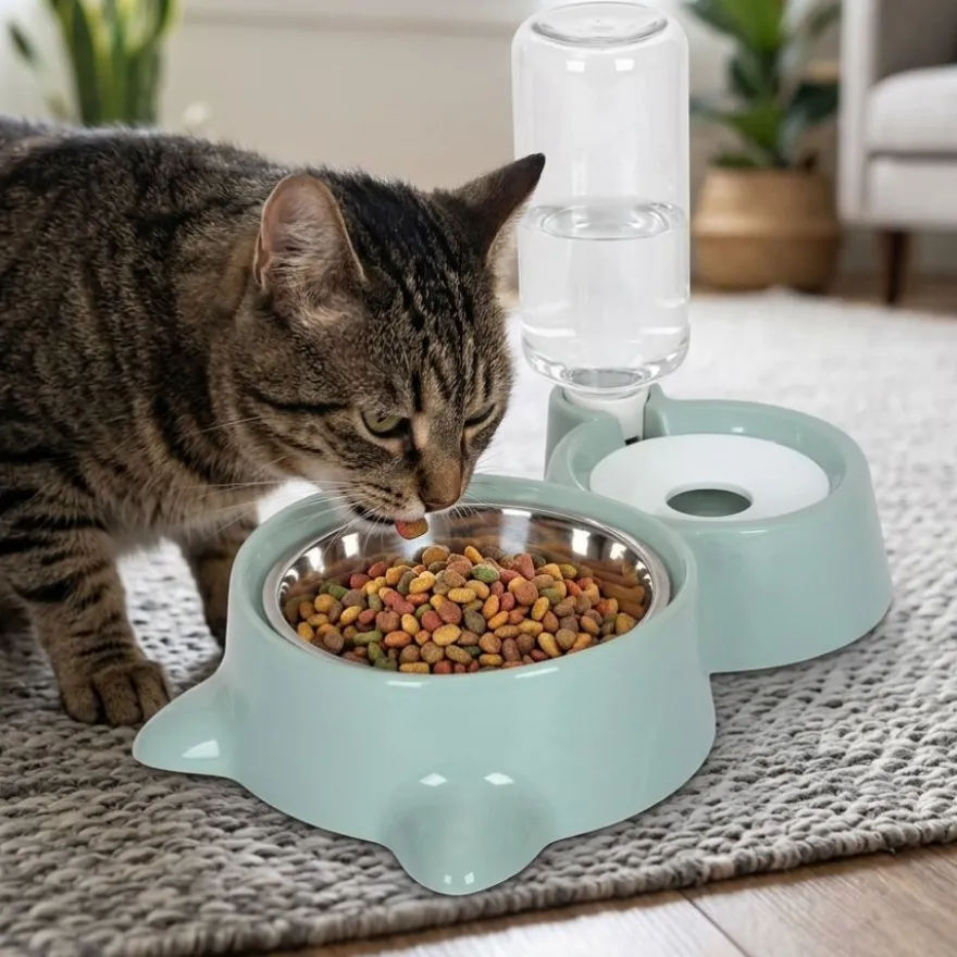 Leeby Comedouro e Dispensador de Água 2 em 1 em Aço Inoxidável Verde para gatos