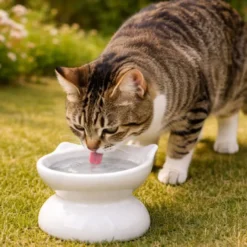 Leeby Comedouro Elevado Inclinado de Cerâmica Branco para gatos