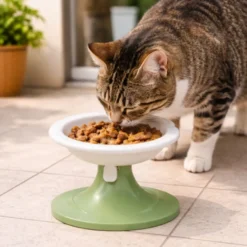 Leeby Comedouro Elevado Inclinado em Cerâmica Estilo Flor para gatos