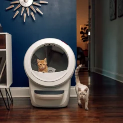 Litter-Robot Caixa de Areia Automática Branca para gatos