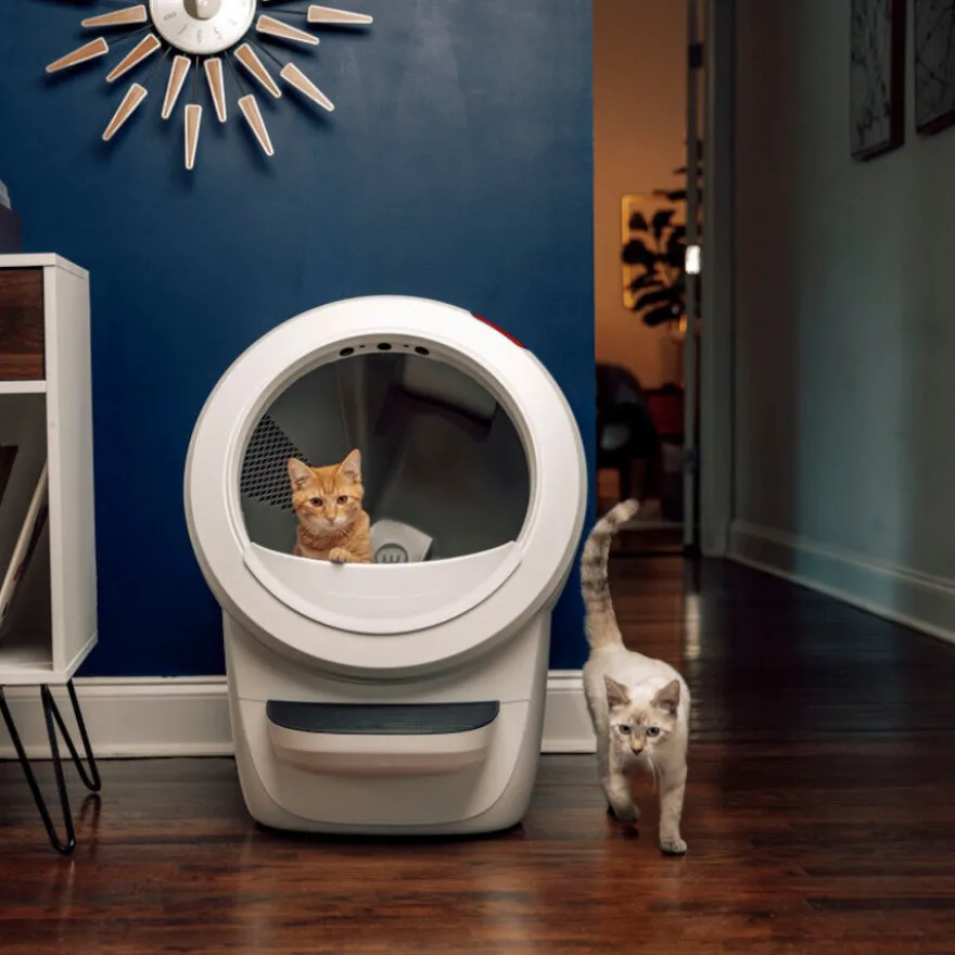Litter-Robot Caixa de Areia Automática Branca para gatos