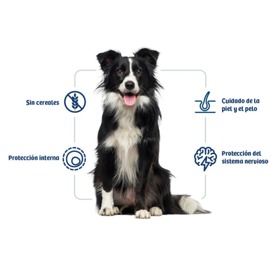Nath Adult Medium / Maxi Sensitive Peixe Branco e Salmão ração para cães