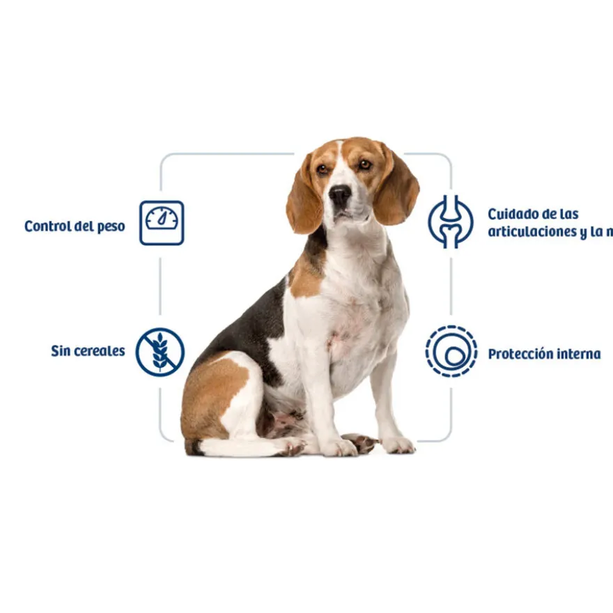 Nath Adult Medium Maxi Weight Control Frango ração para cães