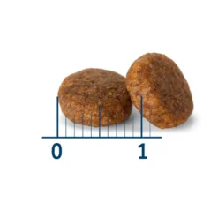 Nath Adult Mini Frango ração para cães
