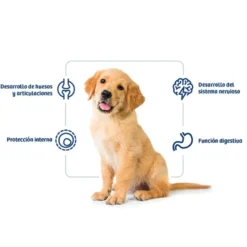 Nath Puppy Medium Maxi Frango ração para cães