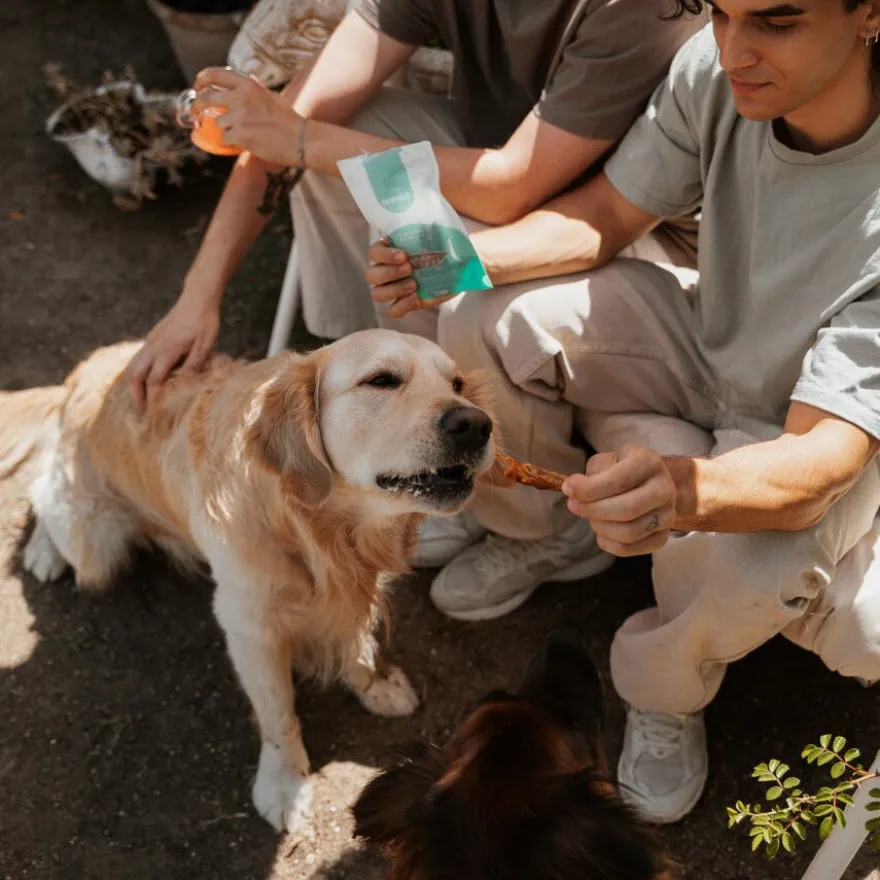 Natuka Melva Filetitos Petisco Natural para cães e gatos