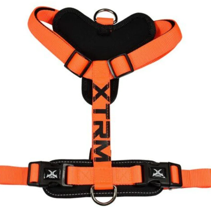 Nayeco X-TRM Cronos Peitoral Laranja Neon para cães