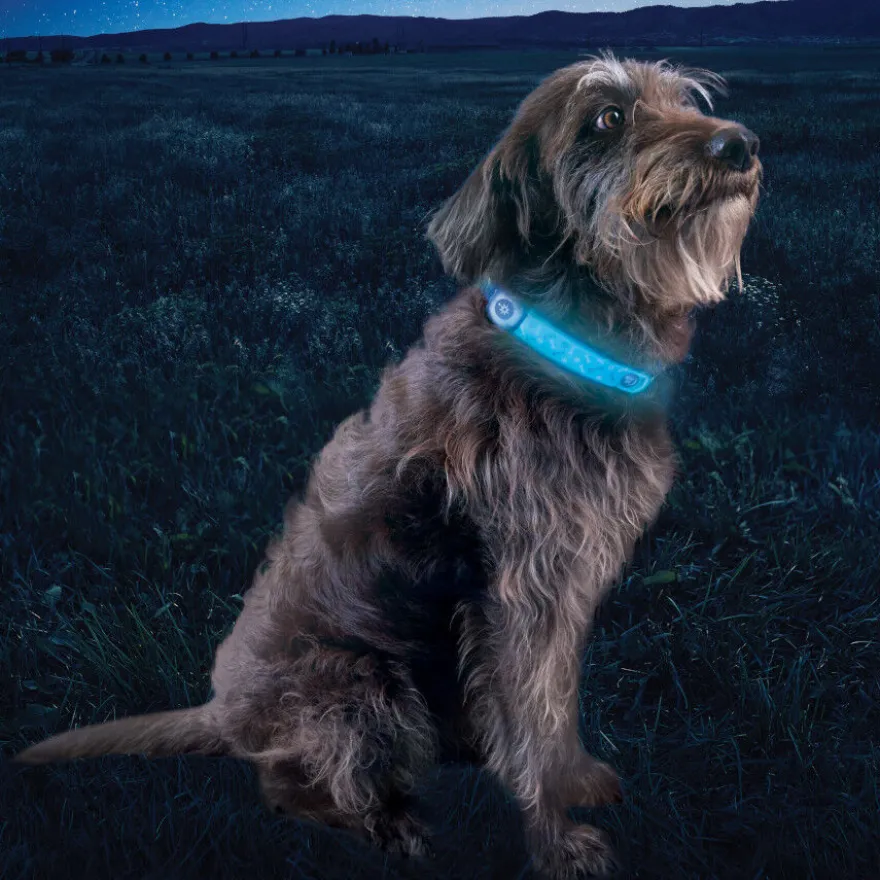 Nite Ize NiteDog Banda LED Recarregável para cães