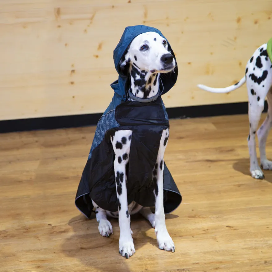 Outech Capa de Chuva Impermeável com Estampado de Ossos para cães