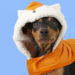 Outech Fox Casaco para cães