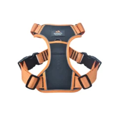 Outech X-perience Arnês de Carro para cães
