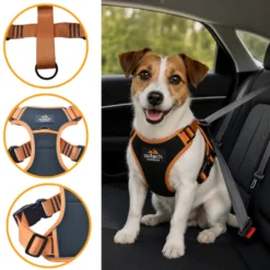 Outech X-perience Arnês de Carro para cães