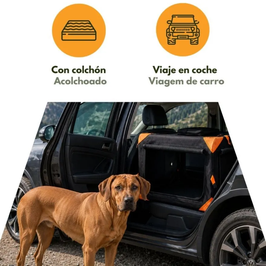 Outech X-perience Transportadora de tela para cães pequenos