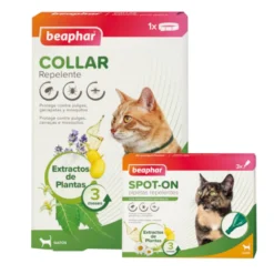 Pack Beaphar Colar e Pipetas Repelentes para Gatos