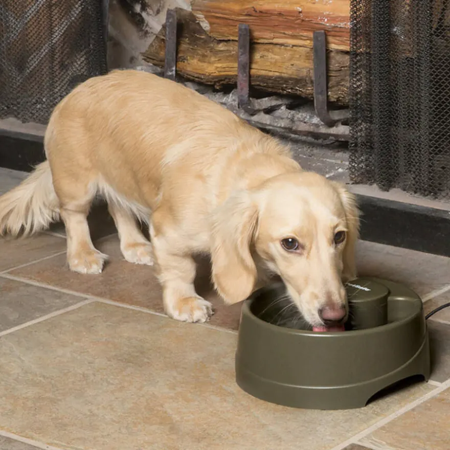 Petsafe Drinkwell® Bebedouro Automático para cães e gatos
