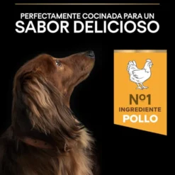 Pro Plan Adult Small & Mini OptiAge Frango ração para cães