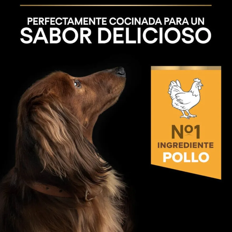 Pro Plan Adult Small & Mini OptiAge Frango ração para cães