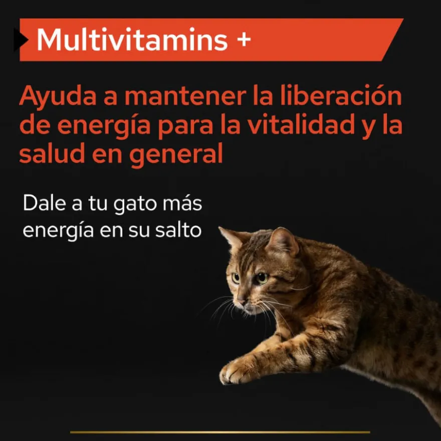 Pro Plan Multivitamins + Suplemento em Pó para gatos