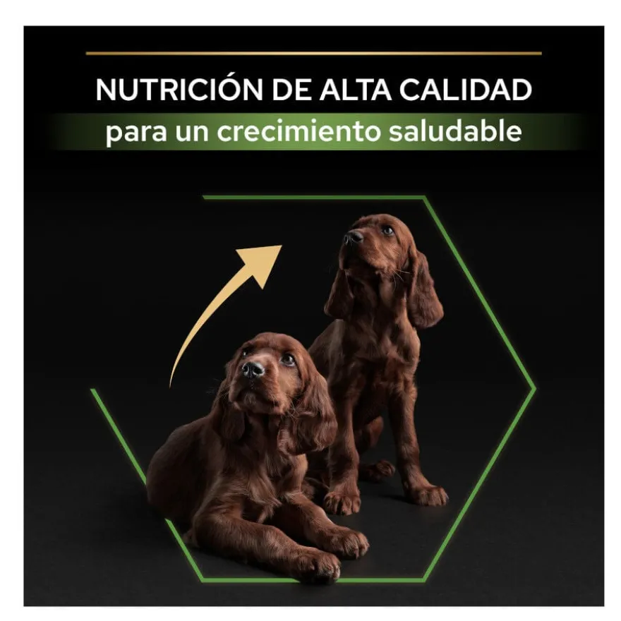Pro Plan Puppy Large Athletic Frango ração para cães