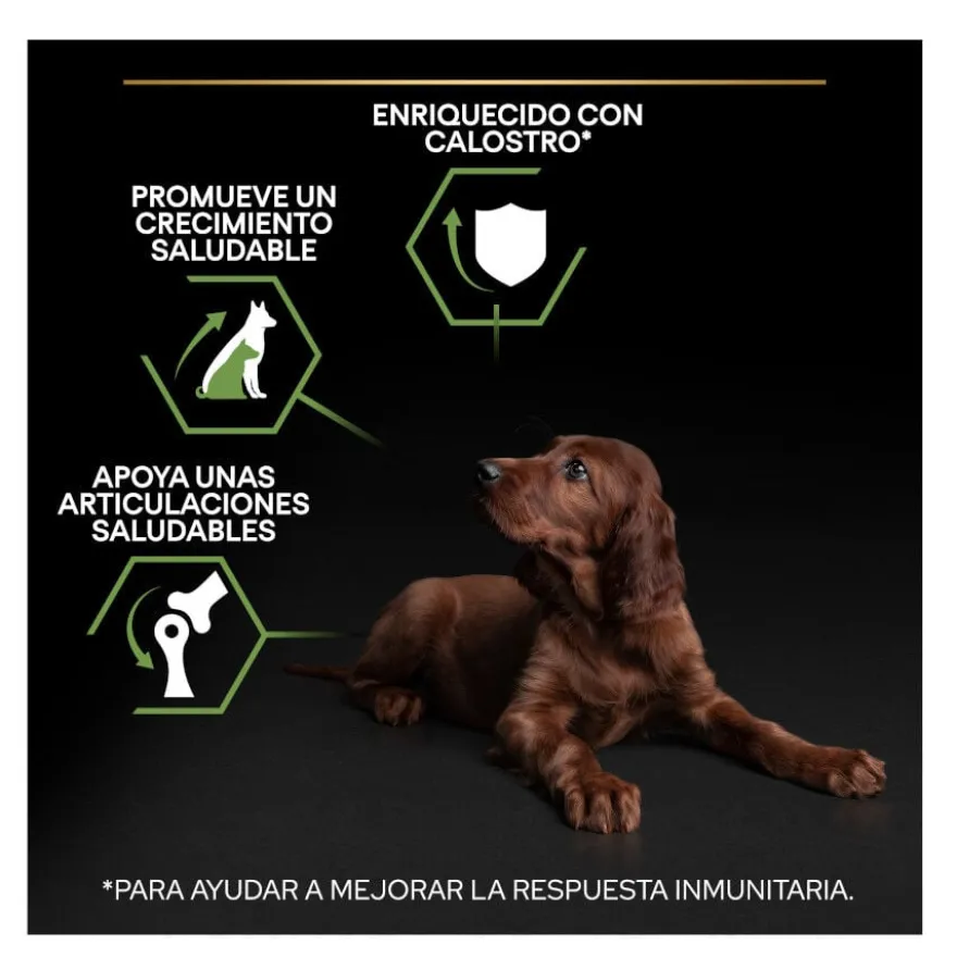 Pro Plan Puppy Large Athletic Frango ração para cães