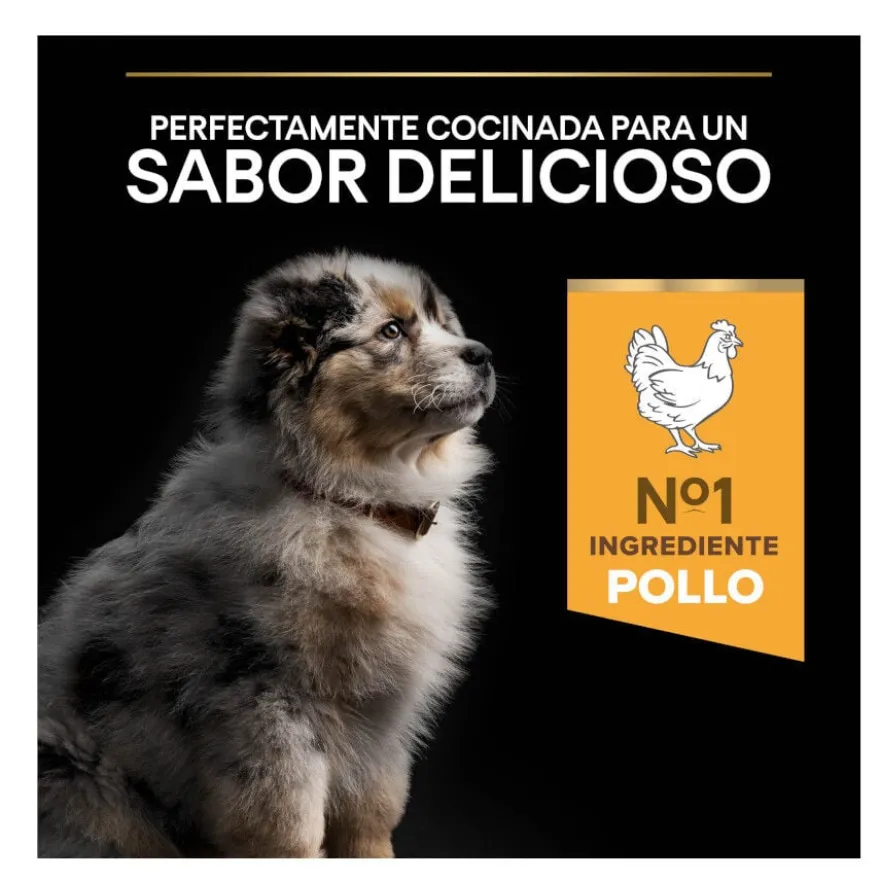 Pro Plan Puppy Medium Frango ração para cães