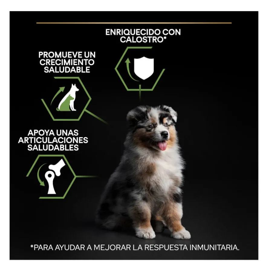 Pro Plan Puppy Medium Frango ração para cães