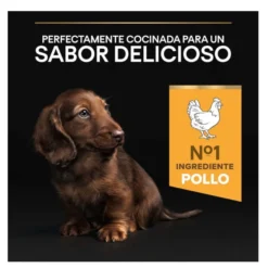 Pro Plan Puppy Small & Mini Healthy Start Frango ração