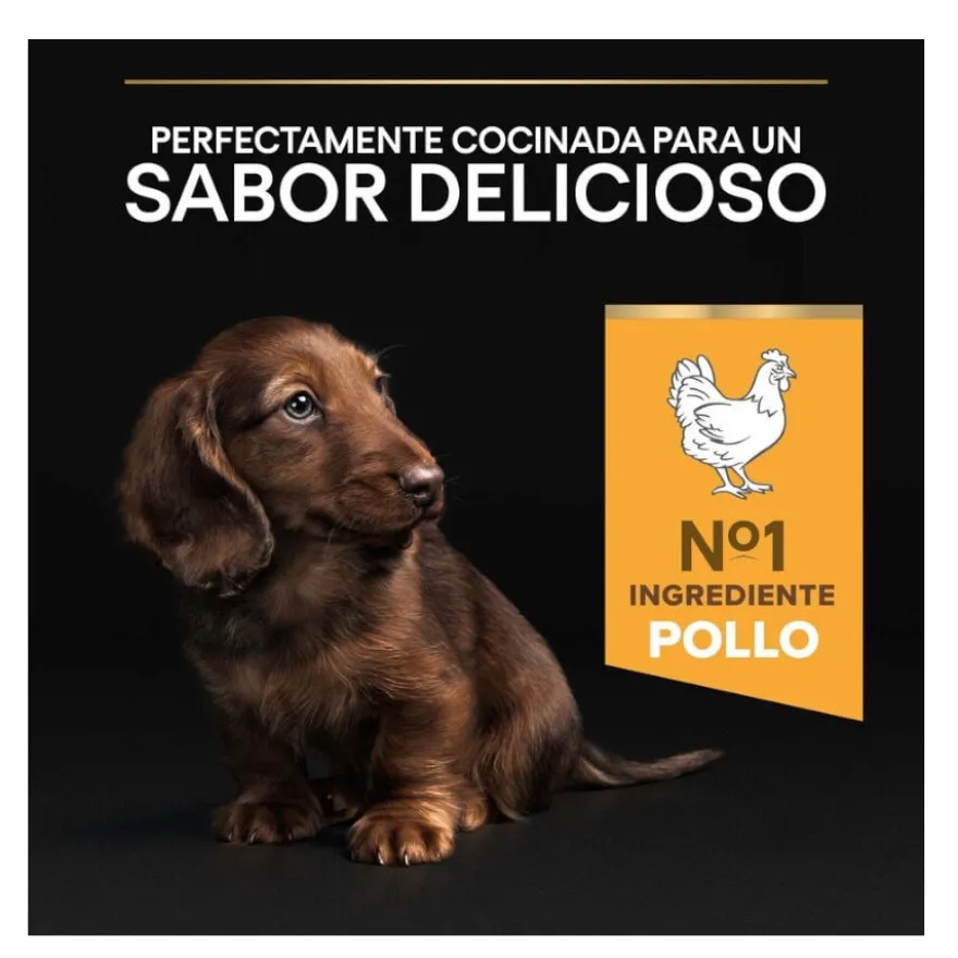 Pro Plan Puppy Small & Mini Healthy Start Frango ração