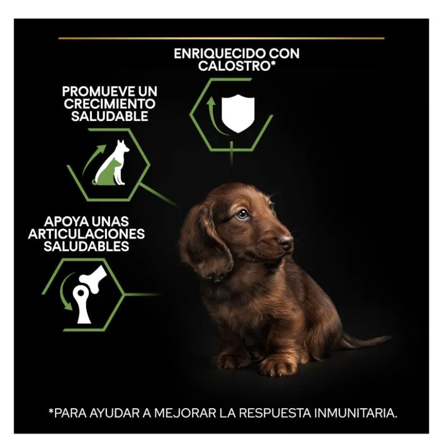 Pro Plan Puppy Small & Mini Healthy Start Frango ração