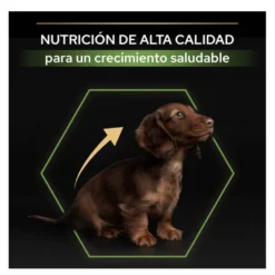 Pro Plan Puppy Small & Mini Healthy Start Frango ração