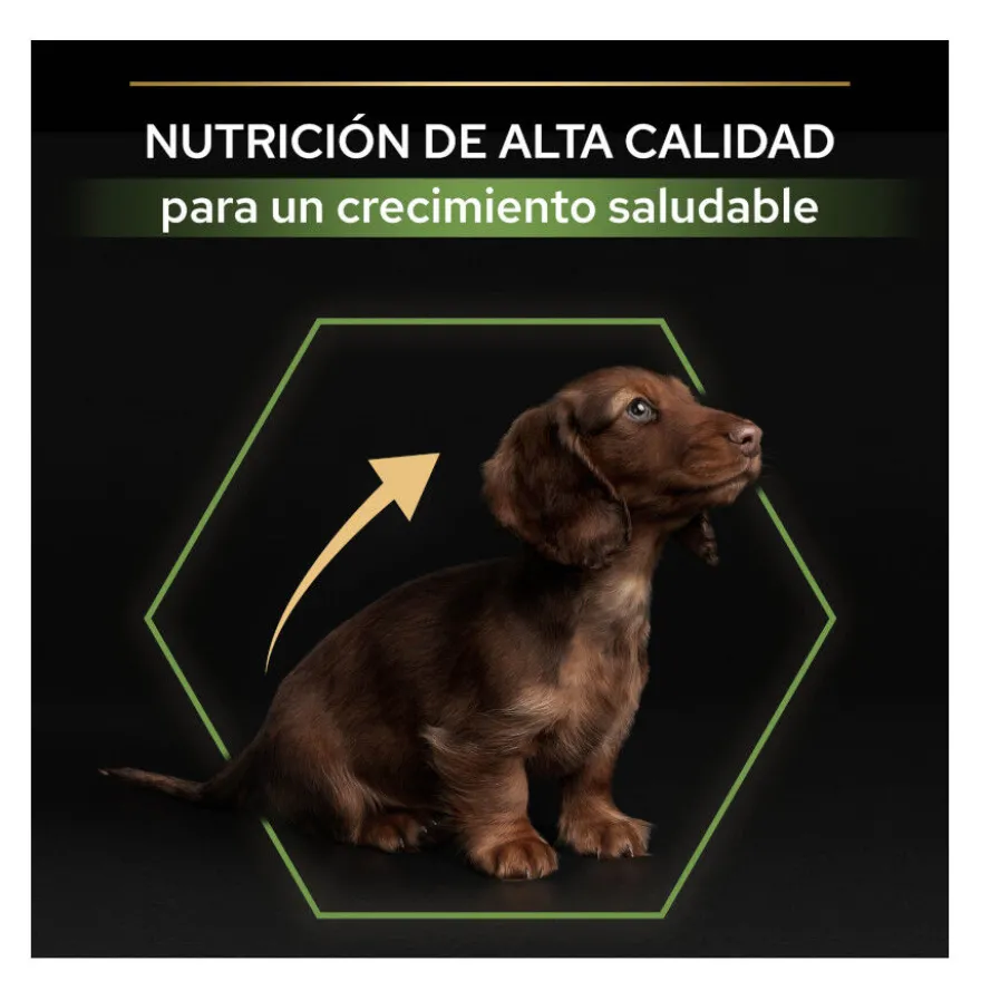 Pro Plan Puppy Small & Mini Healthy Start Frango ração