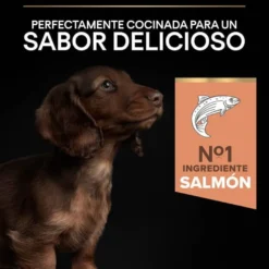 Pro Plan Puppy Small & Mini OptiDerma Salmão ração