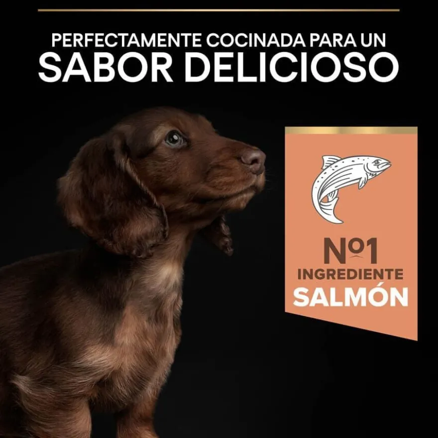 Pro Plan Puppy Small & Mini OptiDerma Salmão ração