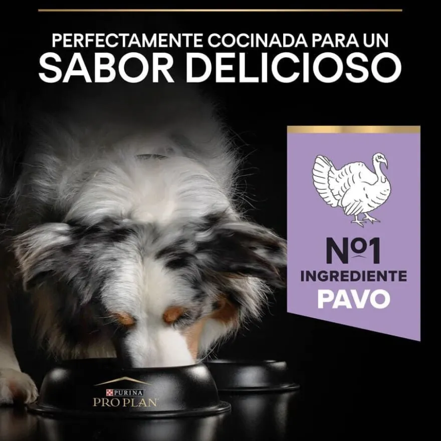 Pro Plan Sensitive Digestion Medium & Large Ração de peru para cães