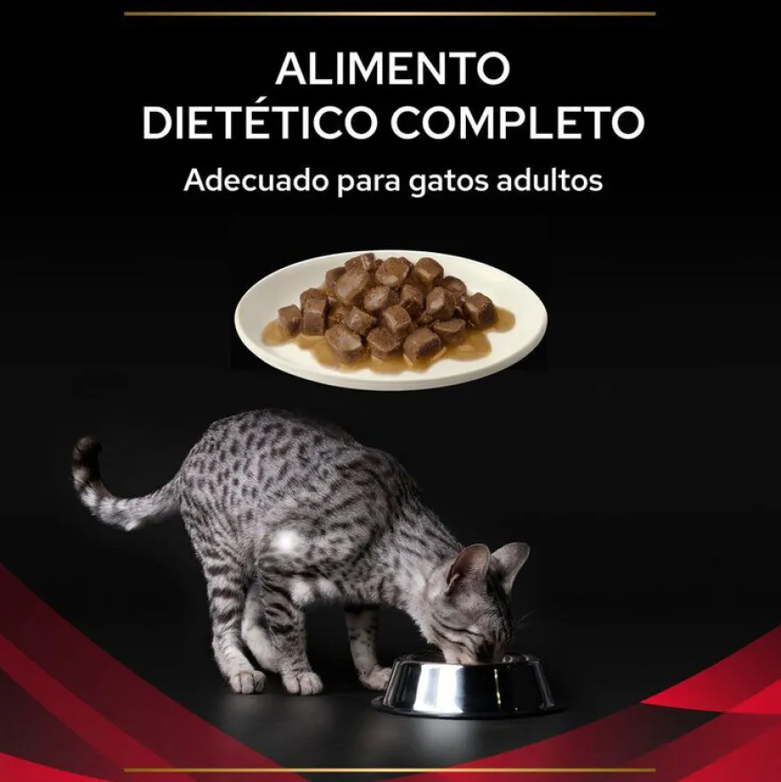 Pro Plan Veterinary Diets DM saquetas para gatos